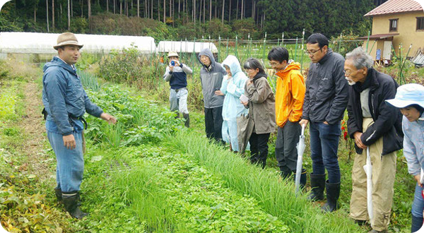 自然菜園見学コース